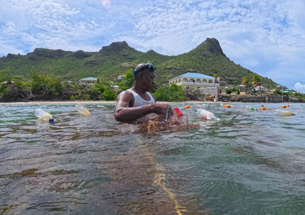 St Vincente: Routine maintenance visit where farmers examine the condition of seedlings and line structure to ensure uniform growth across the farm.