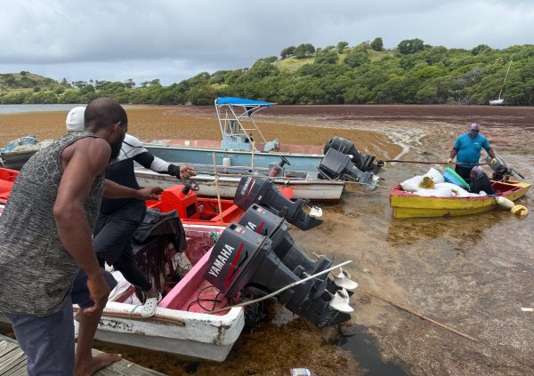 St Lucia: Sargassum accumulation obstructing coastal farming areas and boat access in St Lucia.