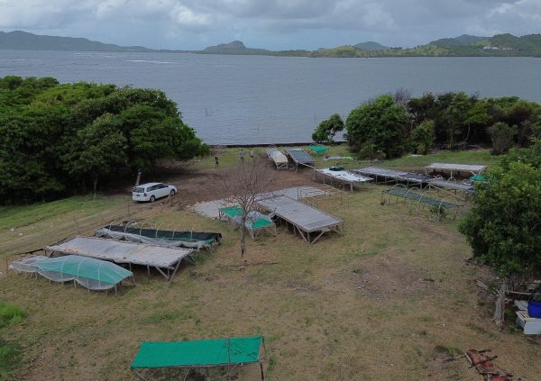 St Lucia: Community drying beds near seaweed sites in Savennes Bay, St Lucia.