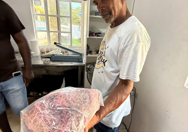 St Vincente: Dried purple sea moss packaged and sold from the farmer’s home to local buyers.