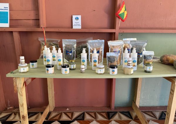 Grenada: Range of sea moss-based body care and food products marketed under local brands.
