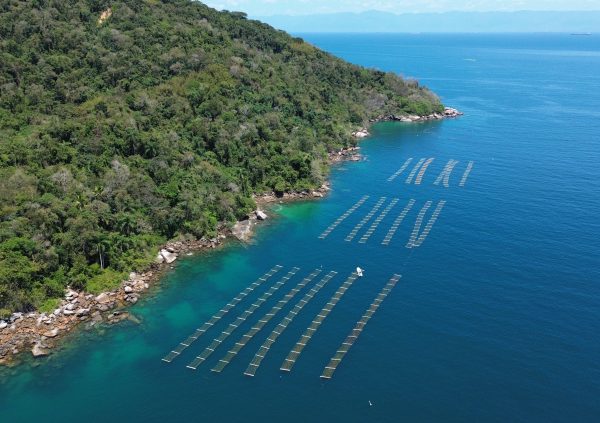 Brazil: Farm sites around Ihla Grande provide suitable conditions and high water exchange year-round (Farm: Seaweed Consulting)