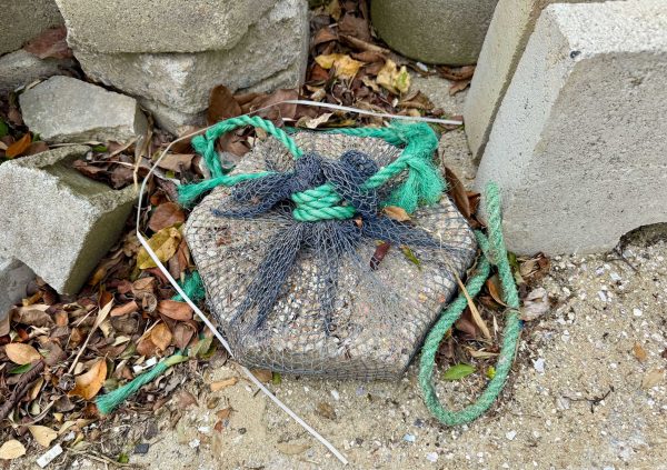 Brazil: Concrete disc anchor with mesh and rope, used in Brazil’s floating rafts for stability in strong currents.