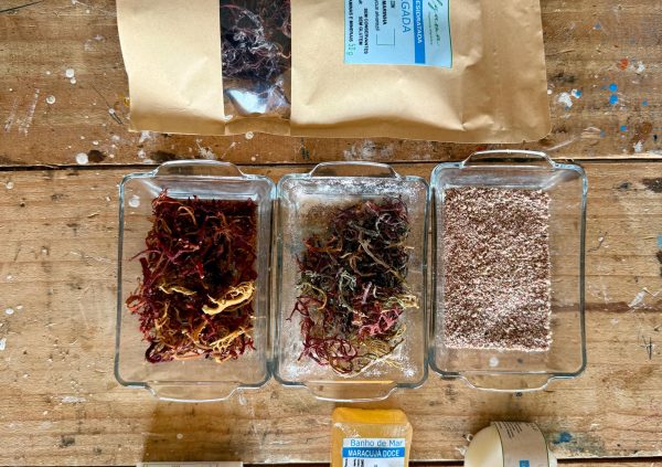Brazil: Seaweed products by female led farming business Algama include dried, powdered, and cosmetic forms for nutrition, skincare, and artisanal markets.