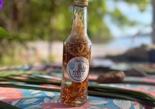 Brazil: Infused seaweed tonic crafted by Brazilian entrepreneurs highlights the emerging trend of attributing seaweed’s value in artisanal wellness and culinary products.