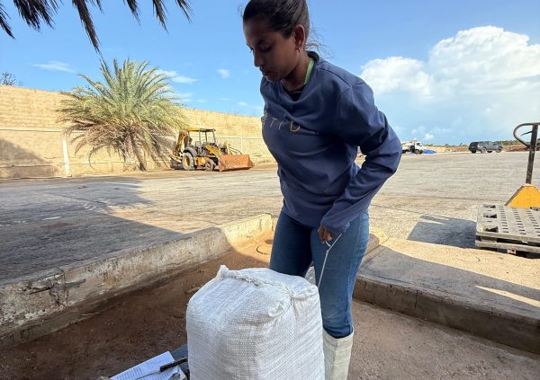 Venezuela: Final packaging before shipment,sacks are stitched shut and logged for transport - standard practice to deliver to Carrageenan processors.