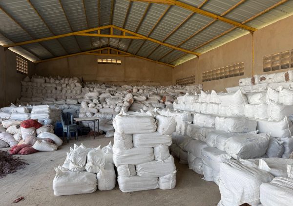 Venezuela:  Dried seaweed stored for bulk export from TIDE’s Venezuelan processing facility.