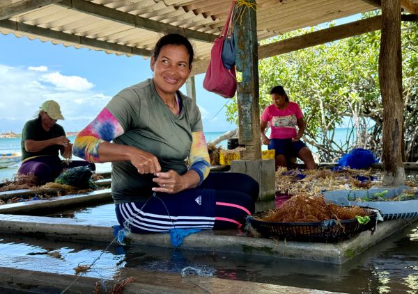 Venezuela: Women lead seeding in Venezuela and building lasting financial independence.