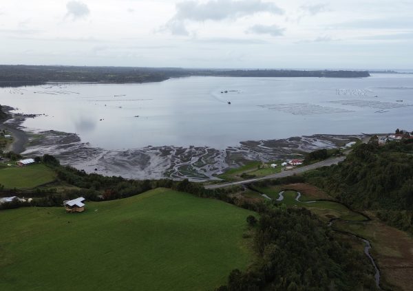 Estuarine view from Chiloé, showing co-location of multiple aquaculture activities in sheltered waters with moderate currents.