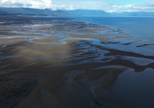 Broad estuarine channels with cool waters and moderate salinity - ideal for Pelillo aquaculture expansion.