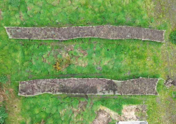 Elevated racks, or tendales, prevent contamination, yielding higher profits for the dried algae.