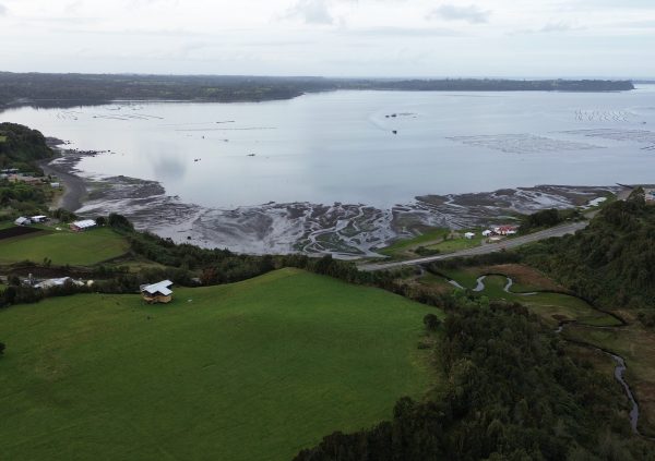 Aerial view of Maullín: seaweed plots, shellfish beds, and family farms shaping coastal livelihoods.