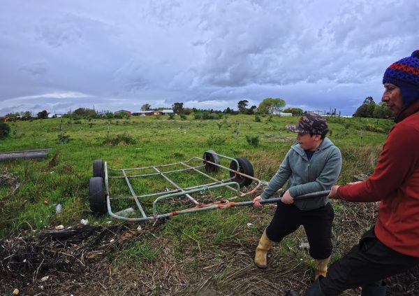 Father and son prepare seaweed cart, intergenerational effort sustains this local economy.
