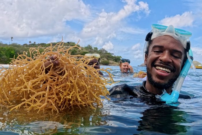 Central America & Caribbean